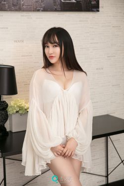 小燕子h